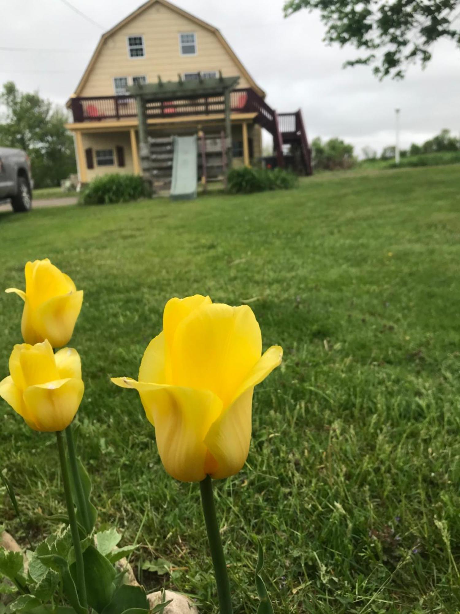 A Country Home Inn The City Charlottetown Dış mekan fotoğraf
